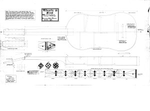 Vihuela Drawing Internal details based on observations